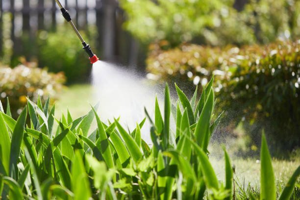 Tamper-Resistant Bait Stations for Rodents in Blytheville