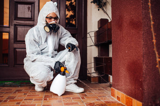 Attic and Crawl Space Rodent Treatment in Blytheville
