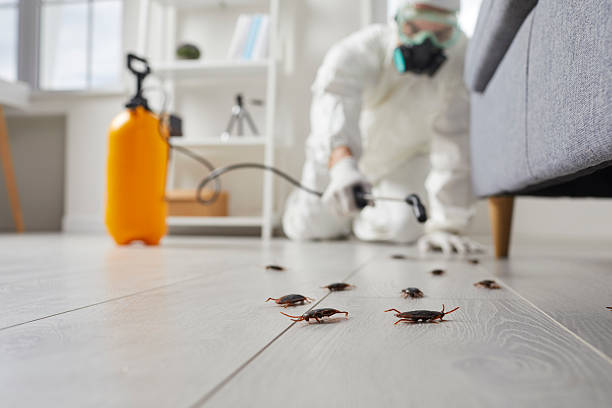 Commercial Rodent Management in Blytheville